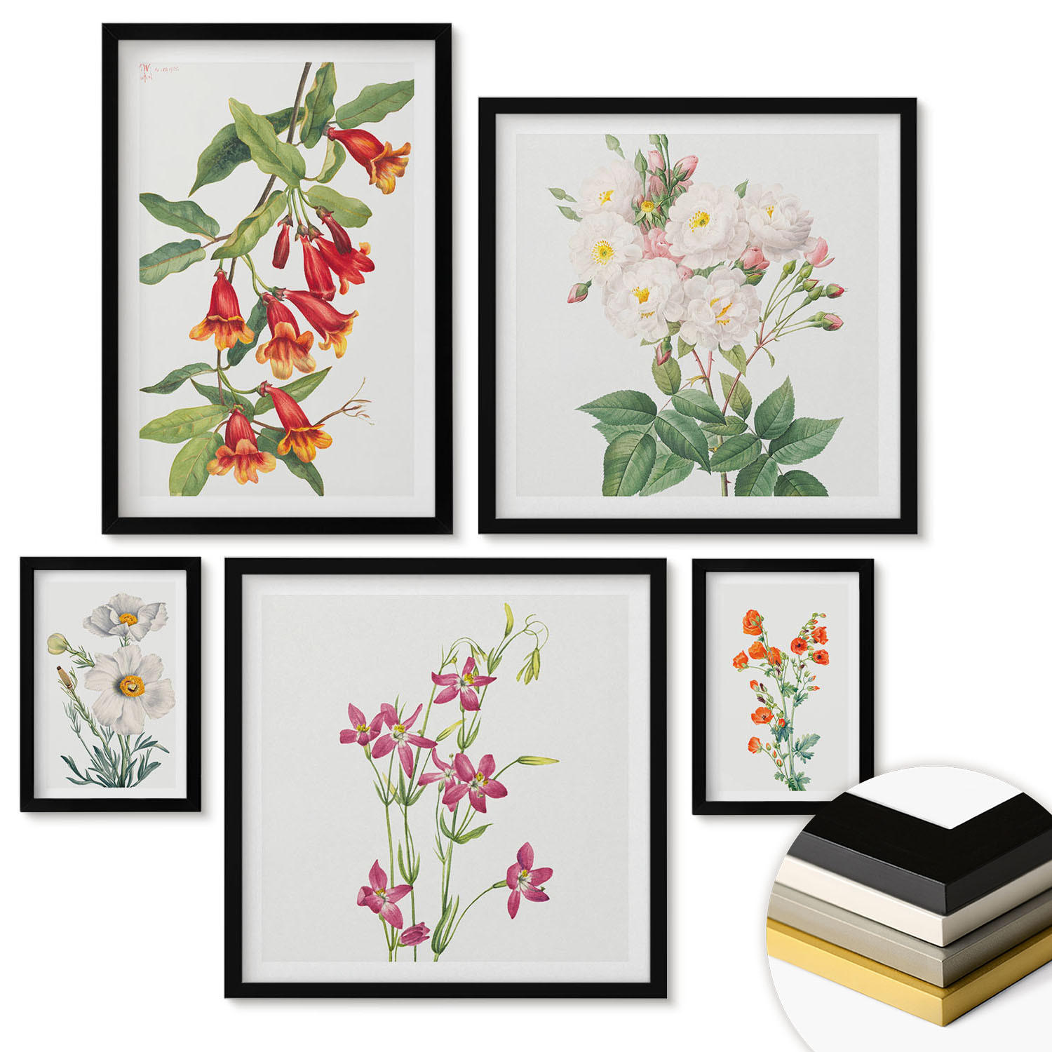 WANDBILDER 5er-Set - 50x50 cm & 20x30 cm & 40x60 cm Schwarzer Rahmen - Retro-Blumenmalerei - Schwarz, Kunststoff (40/60cm) - ArtPrintCave