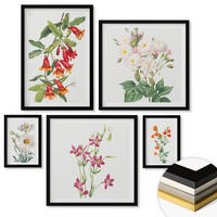 WANDBILDER 5er-Set - 50x50 cm & 20x30 cm & 40x60 cm Schwarzer Rahmen - Retro-Blumenmalerei - Schwarz, Kunststoff (40/60cm) - ArtPrintCave