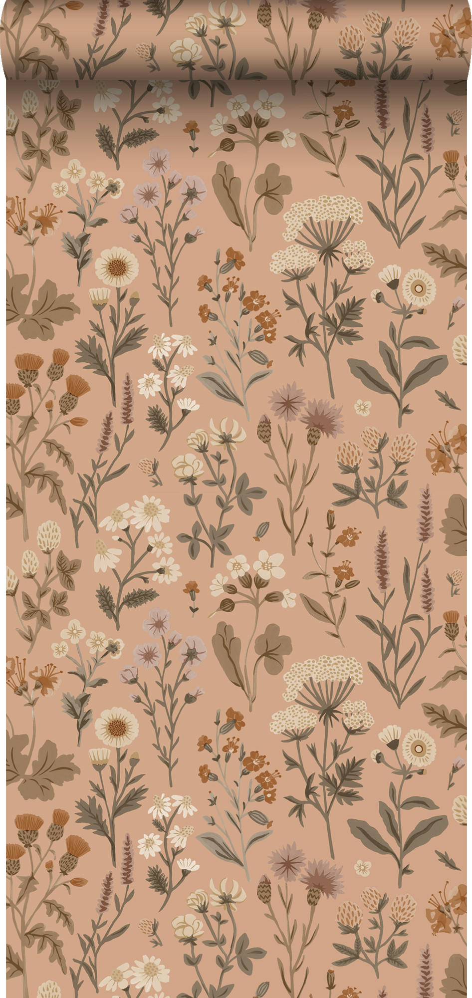 TAPETE Feldblumen 50 x 900 cm - Terracotta, Papier (50/900cm) - Sanders & Sanders
