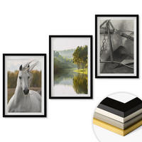 WANDBILDER 3er-Set - 40x60 cm Schwarzer Rahmen - Natur des Flusses White Horses - Schwarz, Kunststoff (40/60cm) - ArtPrintCave