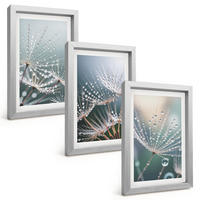 BILDER SET 3er Set - 20x30 cm Silberner Rahmen - Wassertropfen auf Löwenzahnsprossen - Silberfarben, Kunststoff (20/30cm) - TULUP