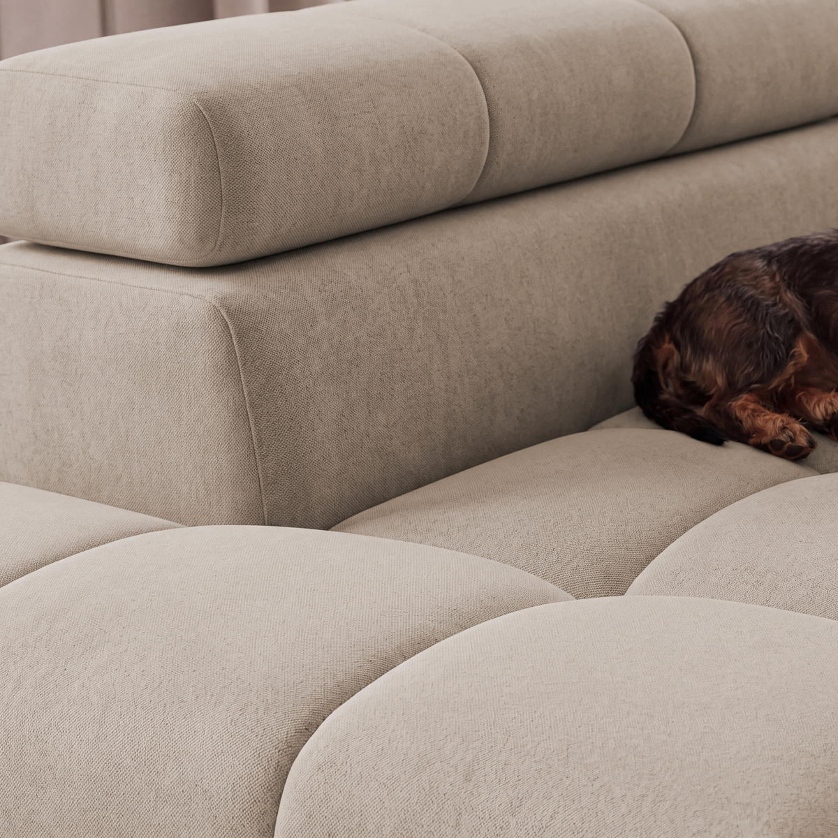 ECKSOFA PUDDING S Links mit Schlaffunktion 125x195 Velours Beige - Beige/Schwarz, Holz/Textil (177/275cm) - Muffo