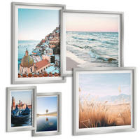 BILDER SET 5er Set - 50x50 cm & 20x30 cm & 40x60 cm Silberner Rahmen - Vögel im Flug, Himmel, Mond - Silberfarben, Kunststoff (40/60cm) - TULUP