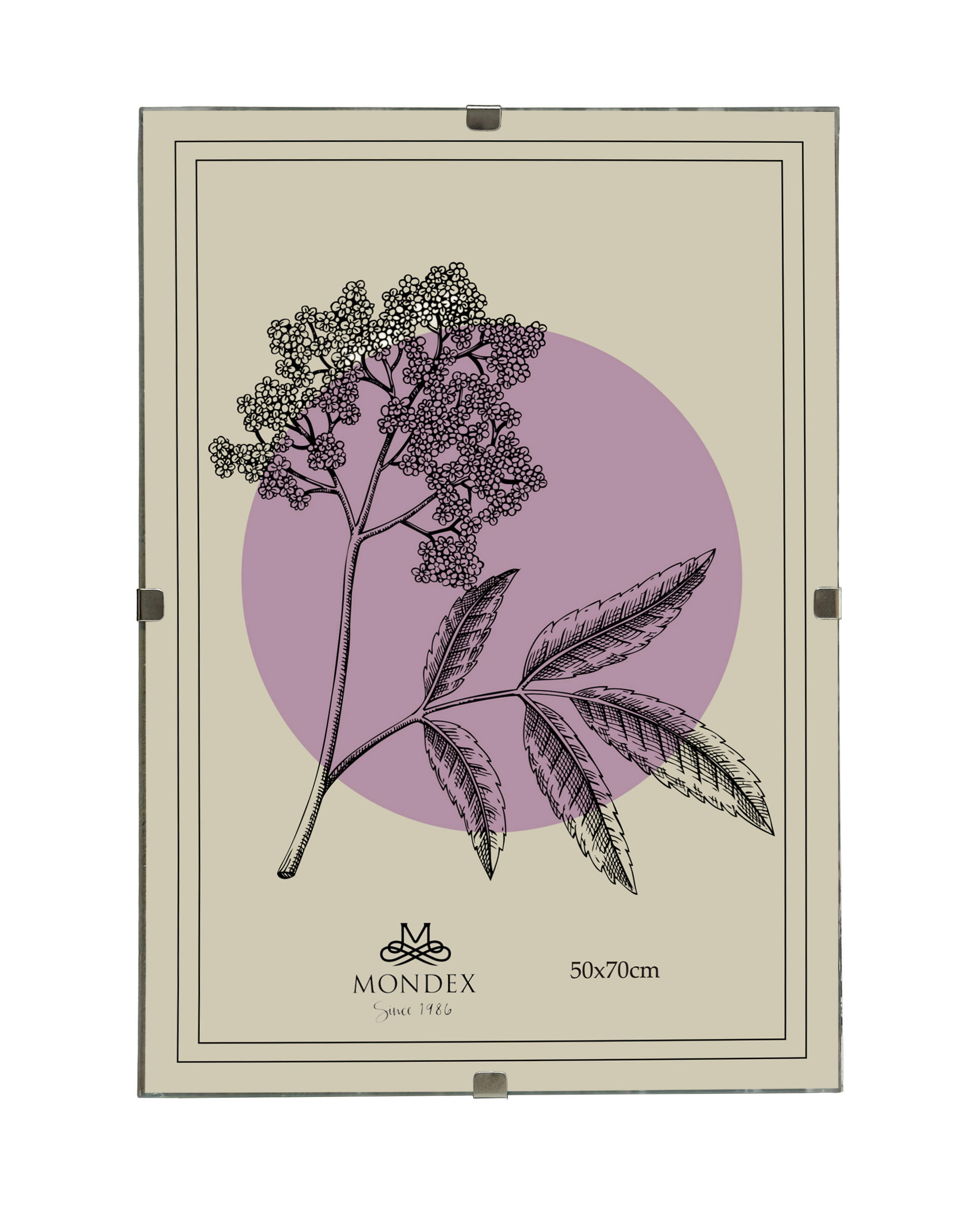 BILDERRAHMEN Adi Transparent 50x70x0.3 cm Kunststoff - Transparent, Kunststoff (0.3/70/50cm) - Mondex