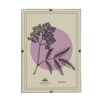 BILDERRAHMEN Adi Transparent 50x70x0.3 cm Kunststoff - Transparent, Kunststoff (0.3/70/50cm) - Mondex