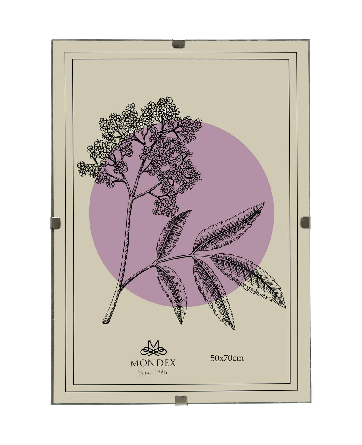 BILDERRAHMEN Adi Transparent 50x70x0.3 cm Kunststoff - Transparent, Kunststoff (0.3/70/50cm) - Mondex