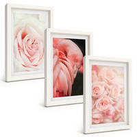 BILDER SET 3er Set - 20x30 cm Weißer Rahmen - Zartrosa Flamingos - Weiß, Kunststoff (20/30cm) - TULUP