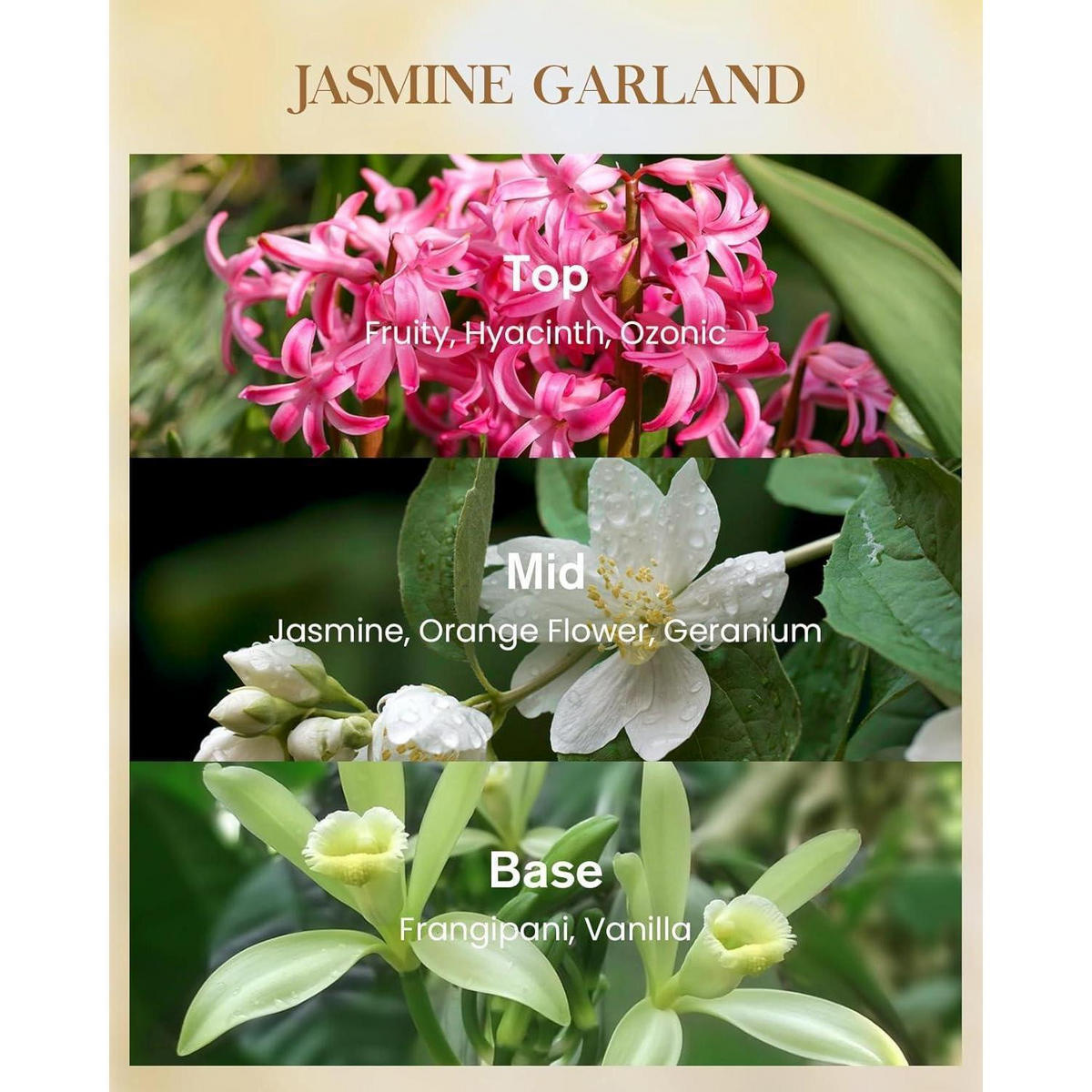 DUFTKERZE Jasmin 400 g Sojawachskerze 75 Std. Brenndauer - Multicolor, Paraffin (12.7cm)