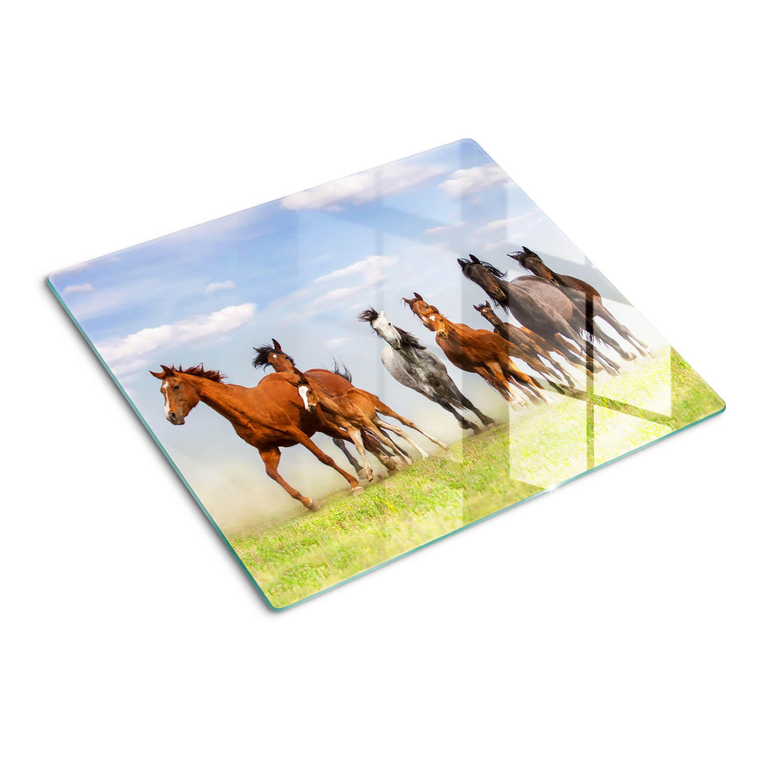GLASPLATTE 60x52 cm Galoppierende Pferde - Multicolor, Glas (60/52cm) - TULUP