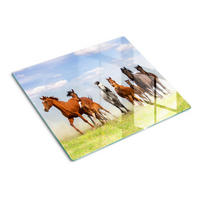 GLASPLATTE 60x52 cm Galoppierende Pferde - Multicolor, Glas (60/52cm) - TULUP