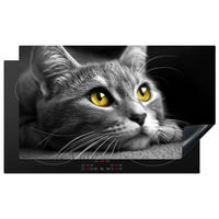 HERABDECKPLATTE - Katze - Grau - Tiere - Katze - 90x50 - Grau, Kunststoff (90/50/0.2cm) - MuchoWow