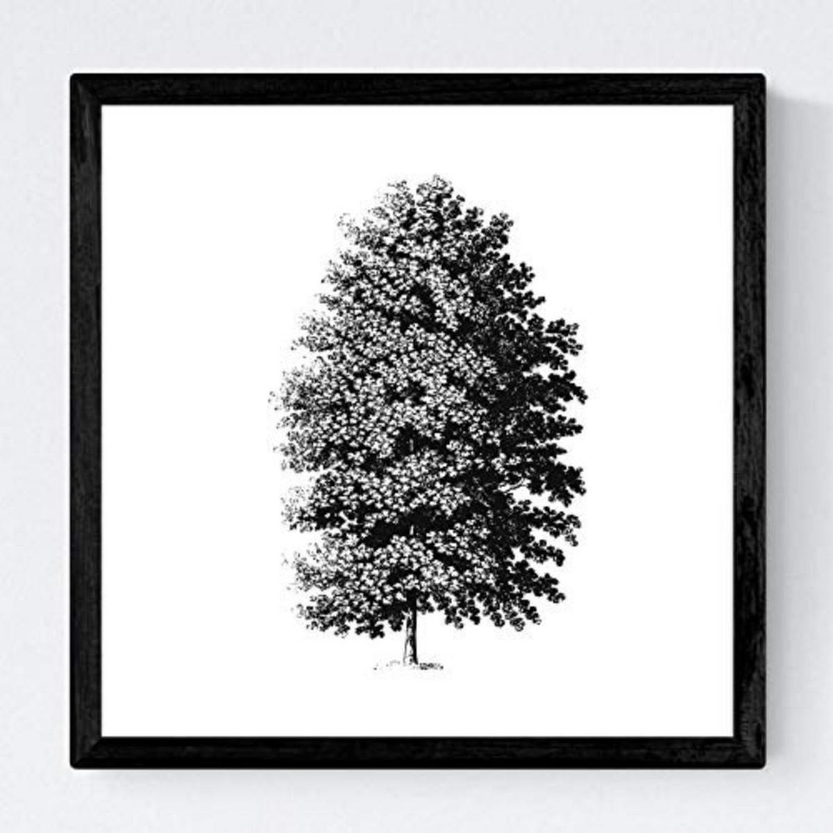 POSTER Set mit 4 Blättern der Bäume sehr fondosos, weiß 20x20cm Schwarzer Rahmen - Schwarz, Papier (20/3cm) - Nacnic