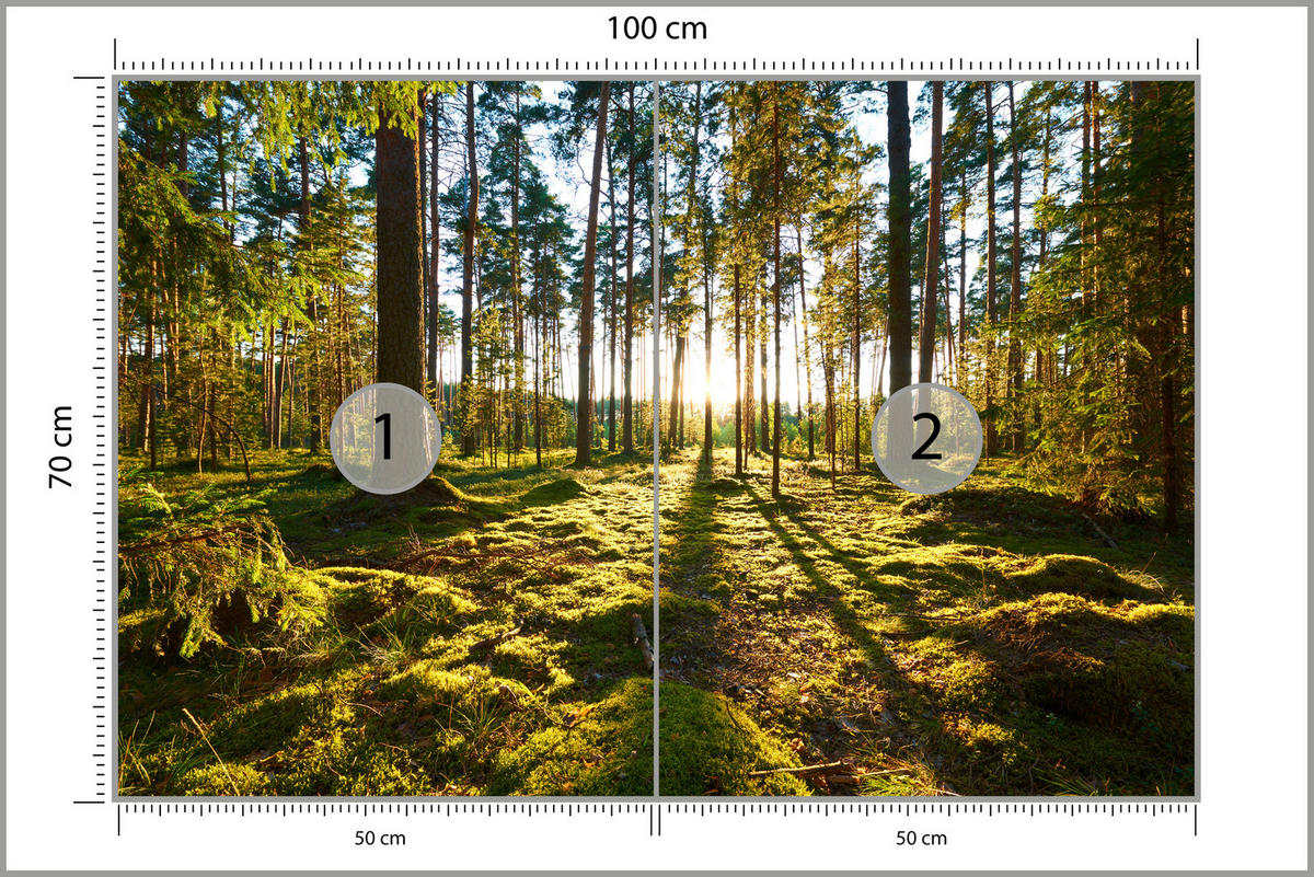 FOTOTAPETE für Küche Sonnenaufgang WALD Moss Bäume Sonnenstrahl 100x70 - Gelb/Braun, Papier (100/70cm) - Muralo