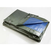 SCHUTZPLANE grün/blau, 250 g/m², 4 x 6 m - Grün, Kunststoff (600/1/1cm) - Westfalia