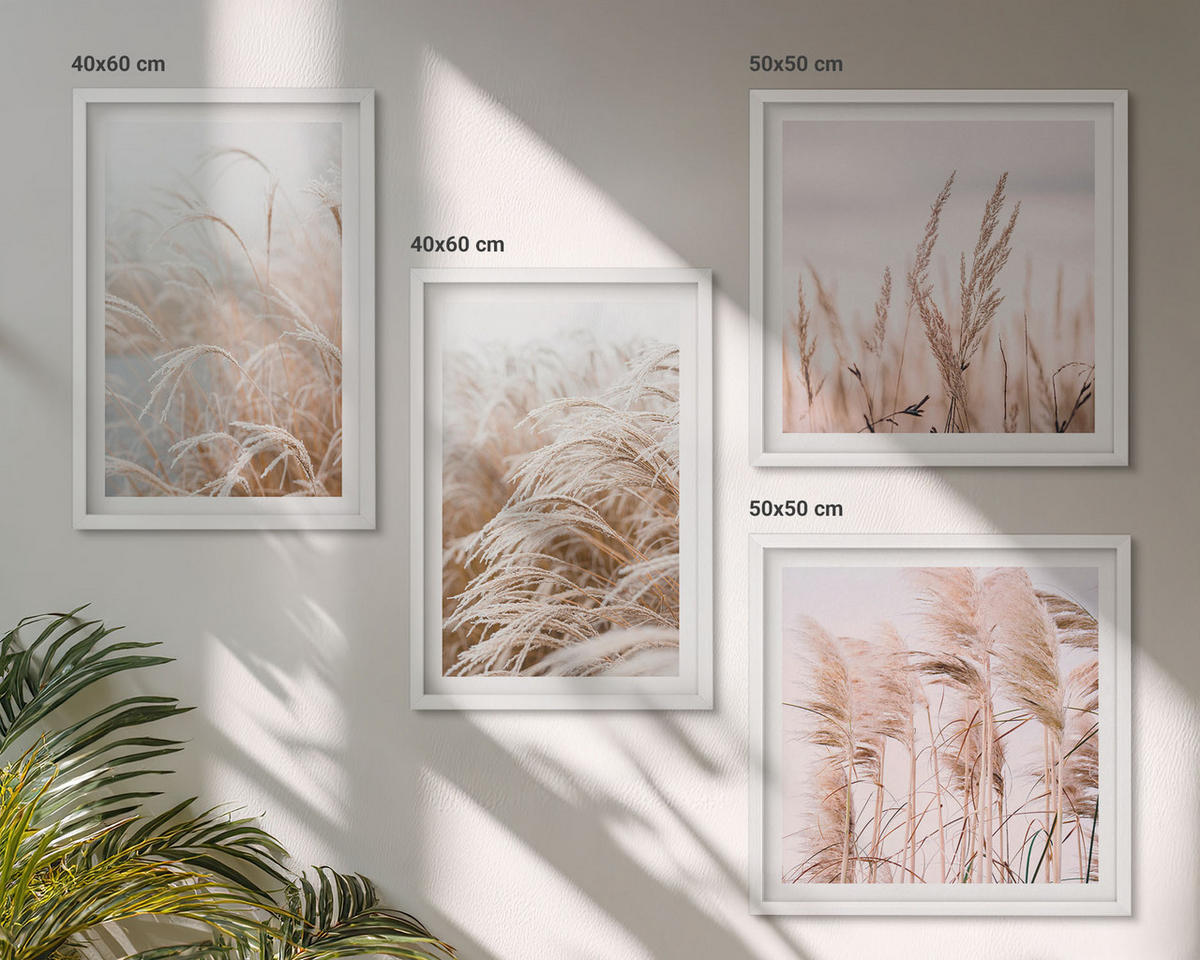 BILDER SET 4er Set - 50x50 cm & 40x60 cm Weißer Rahmen - Grasfelder in Braun- und Beigetönen - Weiß, Kunststoff (50/50cm) - TULUP