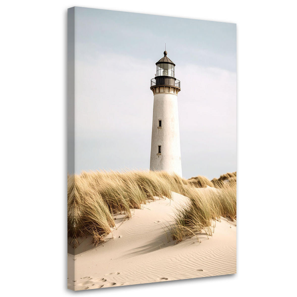LEINWANDBILD Leuchtturm Meer Pflanzen Dünen 80x120cm - Beige, Textil (80/120cm) - Feeby