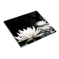 GLASPLATTE 60x52 cm Seerosen - Weiß, Glas (60/0.4/52cm) - TULUP
