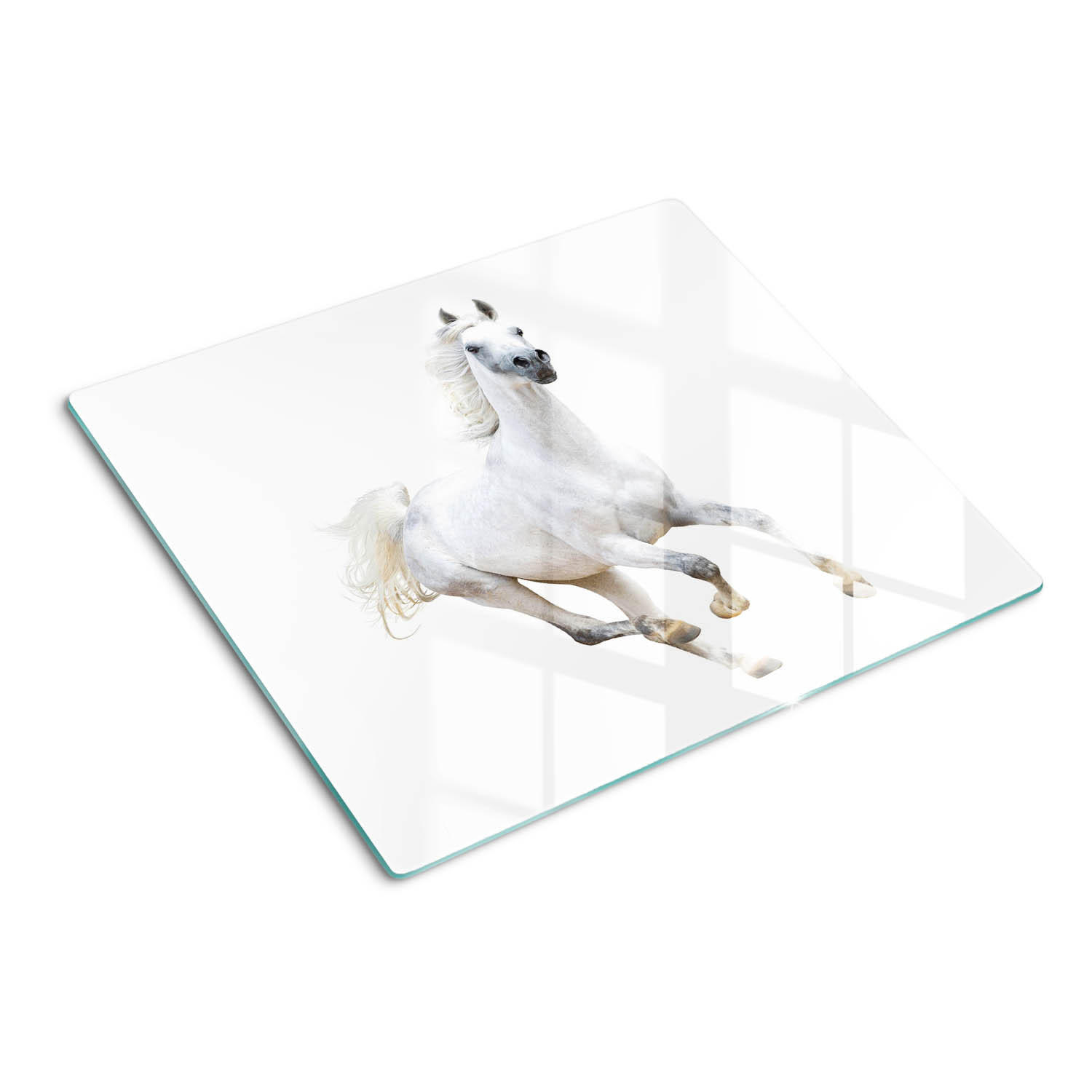 GLASPLATTE 60x52 cm Arabisches Pferd - Weiß, Glas (60/52cm) - TULUP