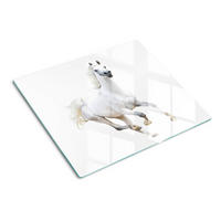 GLASPLATTE 60x52 cm Arabisches Pferd - Weiß, Glas (60/52cm) - TULUP
