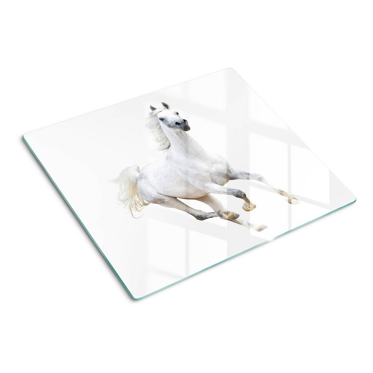 GLASPLATTE 60x52 cm Arabisches Pferd - Weiß, Glas (60/52cm) - TULUP
