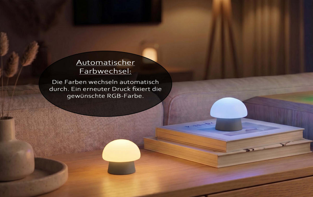 LED-PILZLEUCHTE Mushroom Lounge Lights 6 cm 4er-Set grau - Dunkelgrau, Kunststoff (6/6/6cm) - Northpoint
