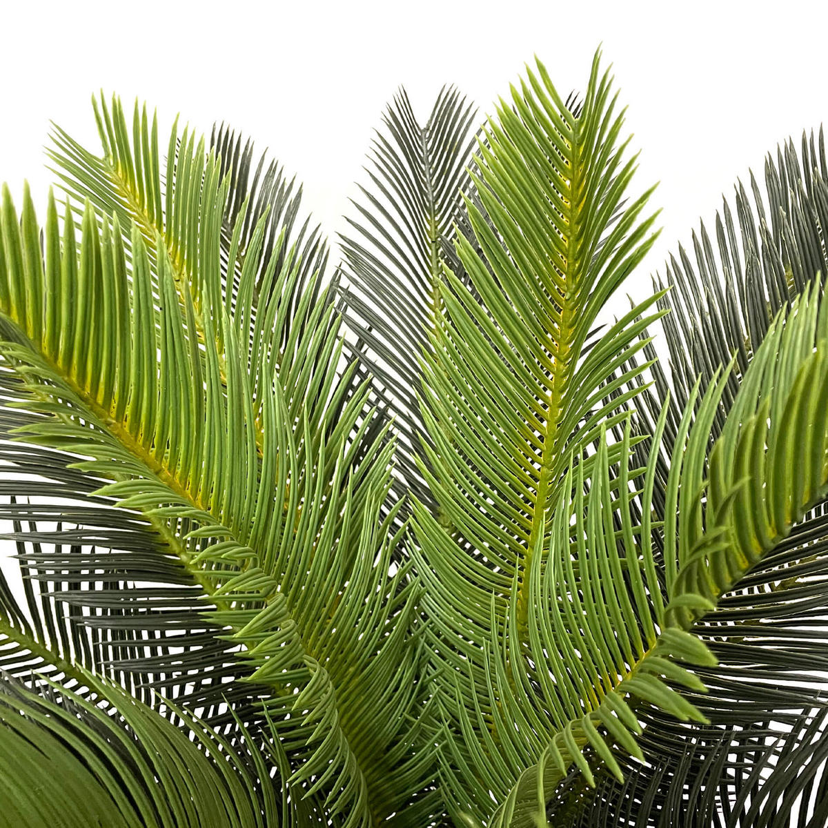 KUNSTPFLANZE Cycas 90 cm - Grün, Kunststoff (90cm)