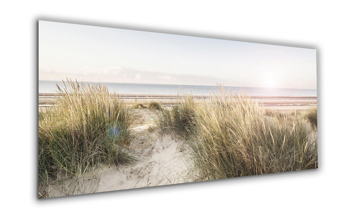 GLASBILD 125x50 cm Dünen Strand - Beige, Glas (125/50cm) - artissimo