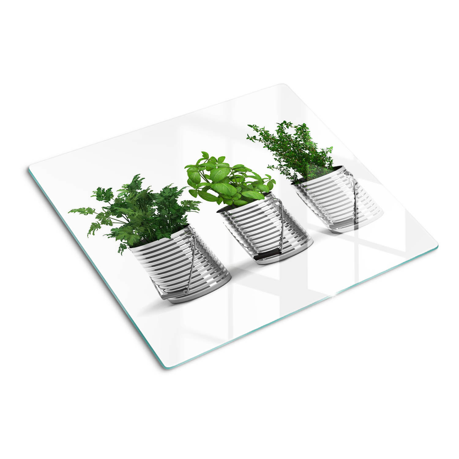 GLASPLATTE 60x52 cm Aromatische Pflanzen - Grün, Glas (60/0.4/52cm) - TULUP