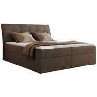 BOXBETT DAGOS 160/200 - Braun Velvet - H3 - Topper T25 - Braun, Textil (160/200cm) - MKS