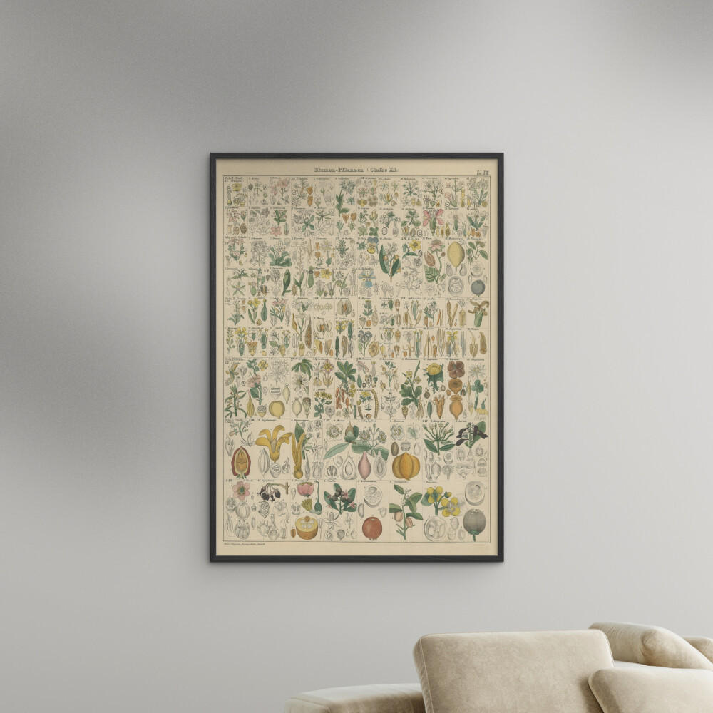 POSTER mit Rahmen Wild Apple - Flora Chart I - Schwarz/Grün, Holz/Papier (30/40cm) - Poster&Frame