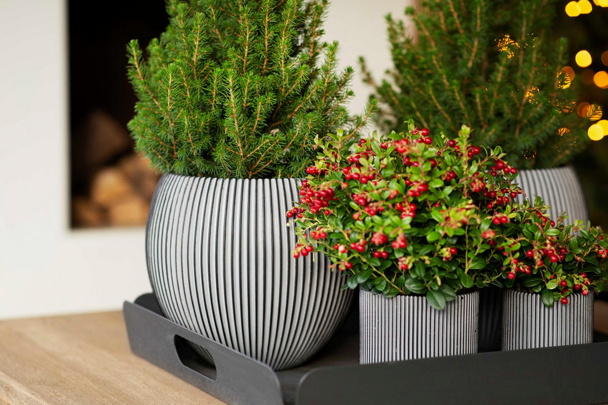 GEFÄSS Kugel Groove anthrazit I 18x15 cm - Anthrazit, Kunststoff (1/1/1cm) - aplanta