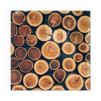 GLASPLATTE für Kamin 50x50 cm - Braun, Glas (50/50/0.4cm) - TULUP