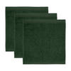 SEIFTUCH SUPERWUSCHEL 3ER PACK - Dunkelgrün, Textil (30/30cm) - MÖVE