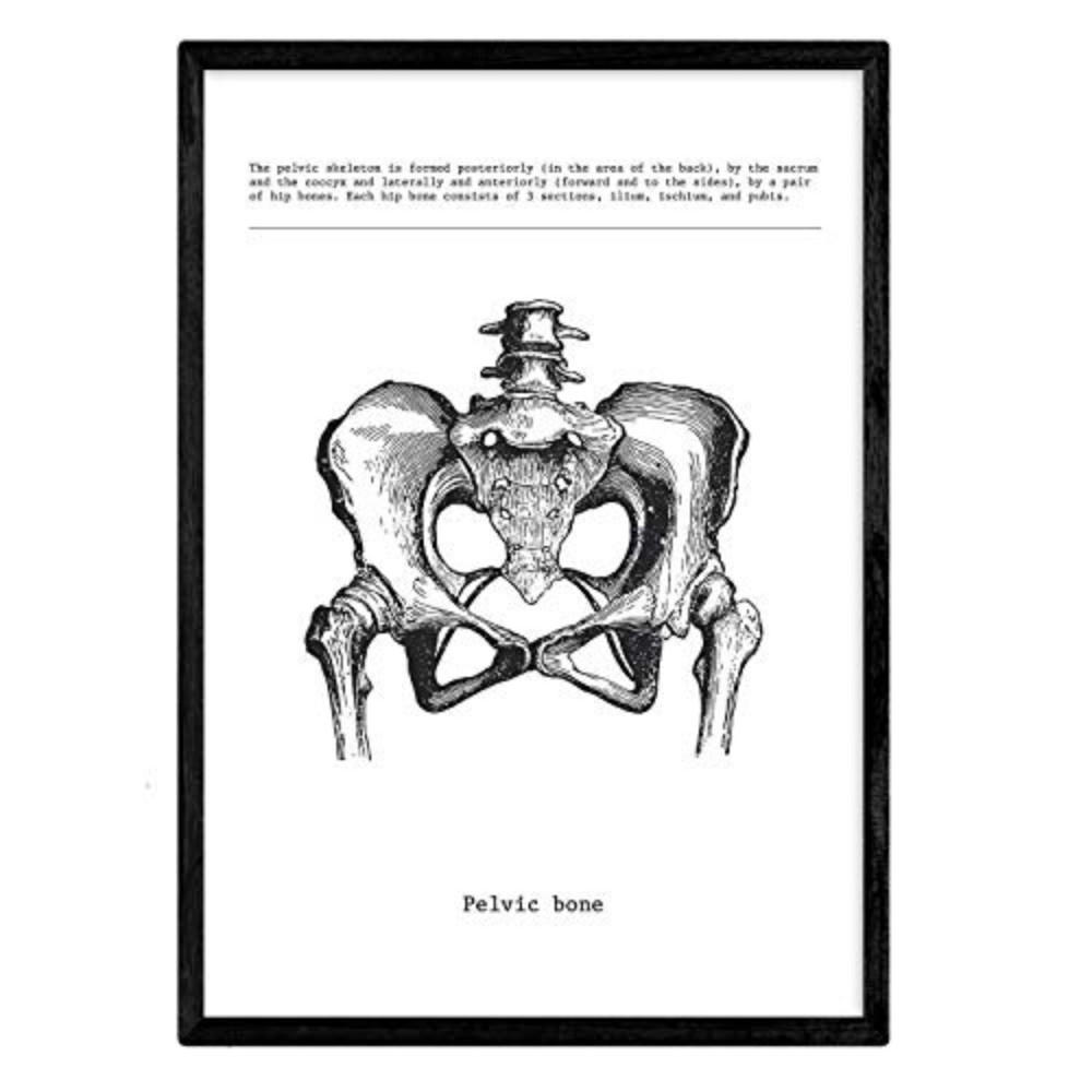 Nacnic Poster Klar 29.7x5x42 cm