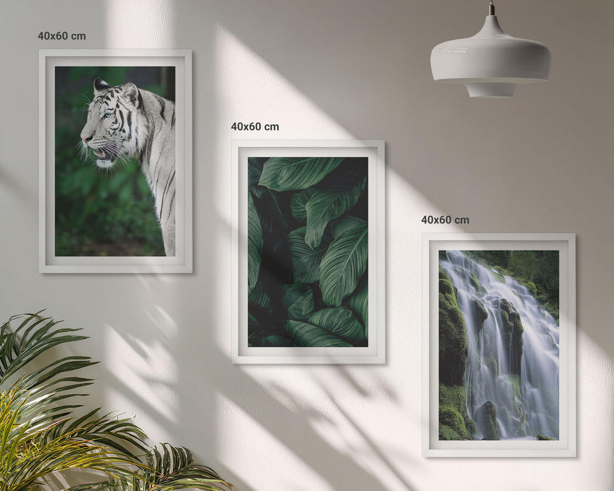 BILDER SET 3er Set - 40x60 cm Weißer Rahmen - Wasserfall aus weißen Tigerblättern - Weiß, Kunststoff (40/60cm) - TULUP