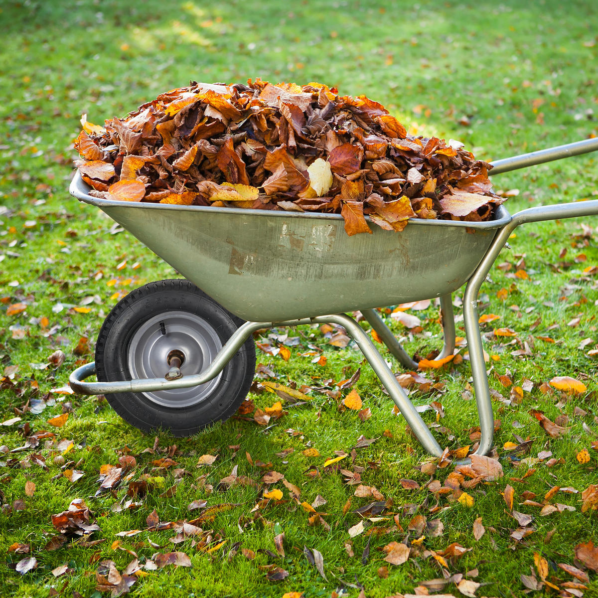 2xSCHUBKARRENRAD - Schwarz, Kunststoff (37/37/8.5cm) - Relaxdays