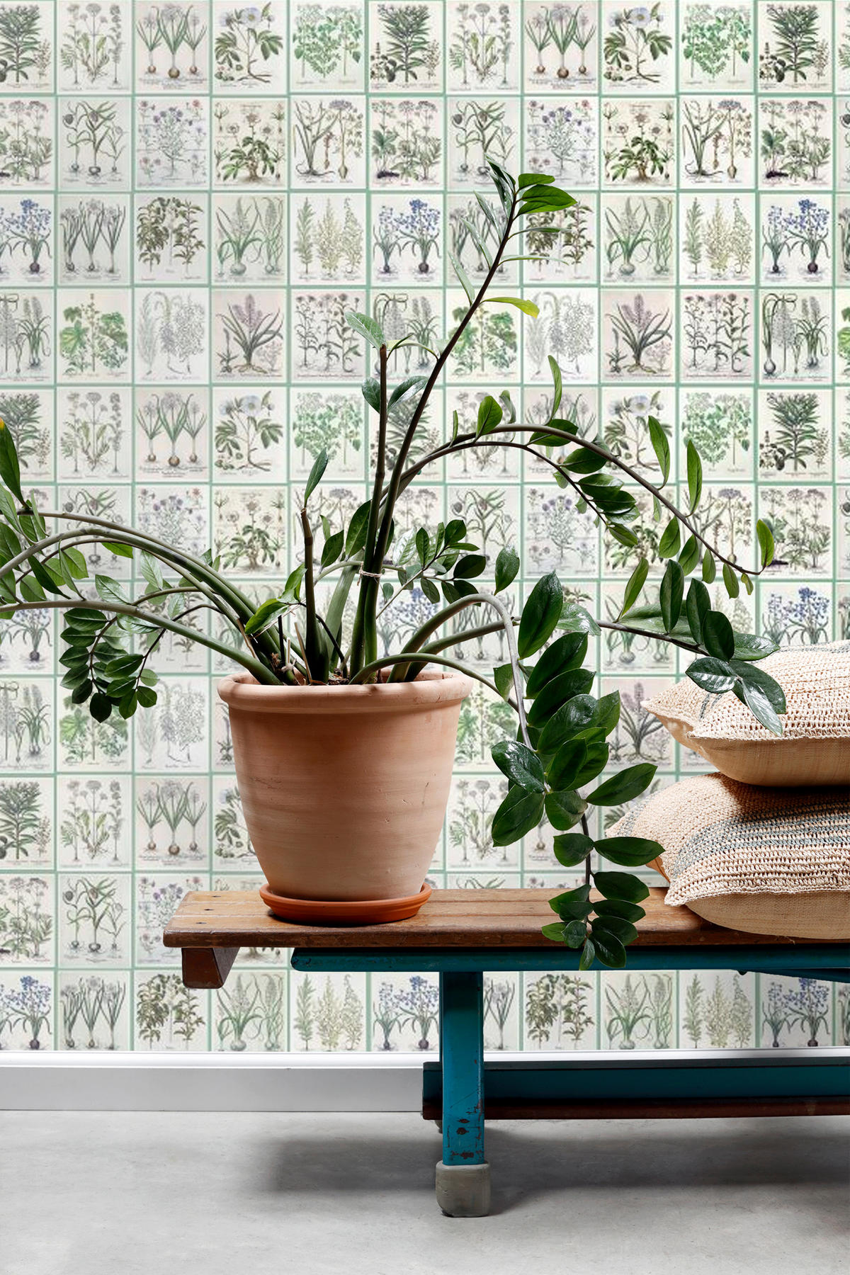 XXL-VLIESTAPETE Seiten aus botanischen Büchern 50 x 900 cm - Grün, Papier (50/900cm) - ESTAhome