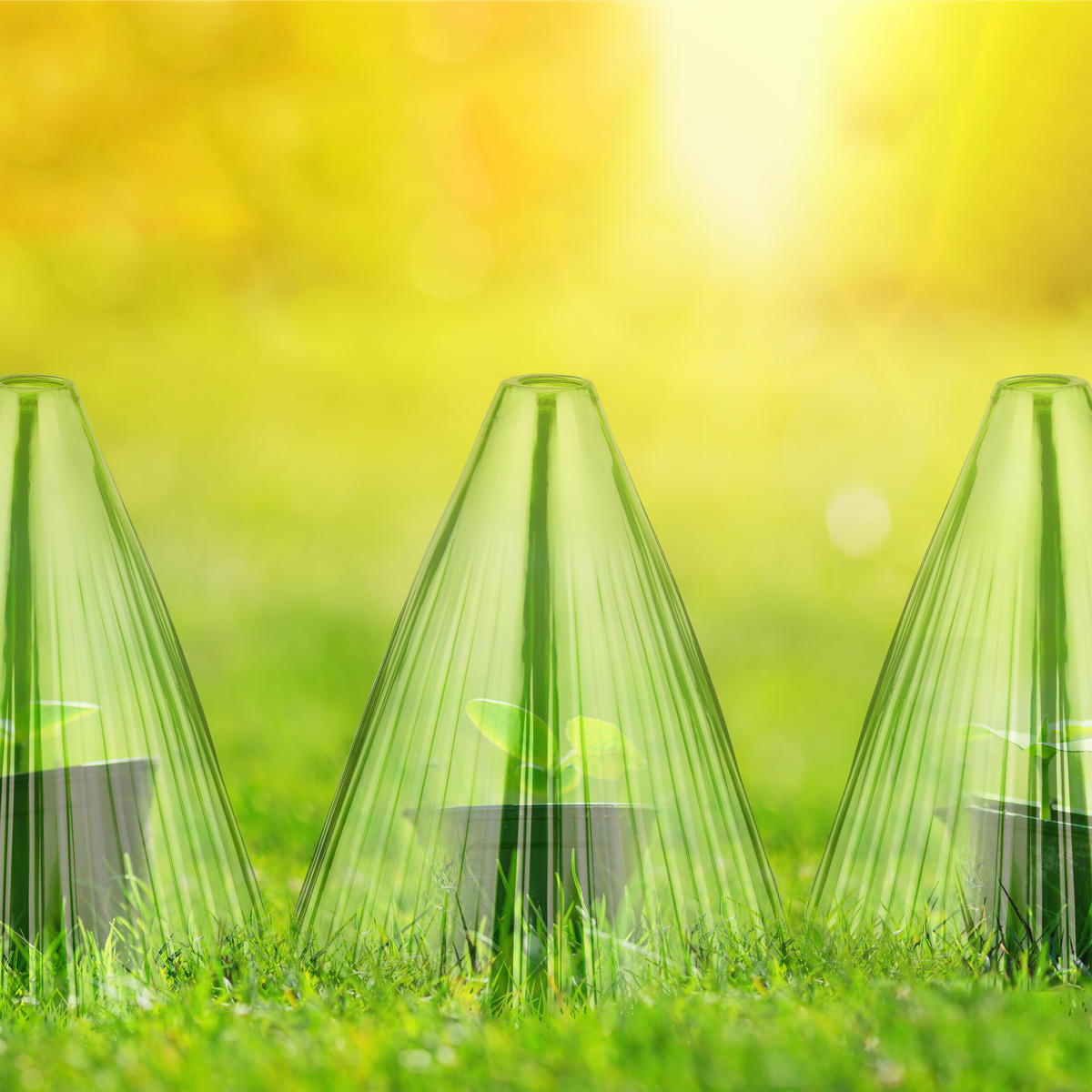 32XPFLANZENHUT - Grün, Kunststoff (19/22/19cm) - Relaxdays