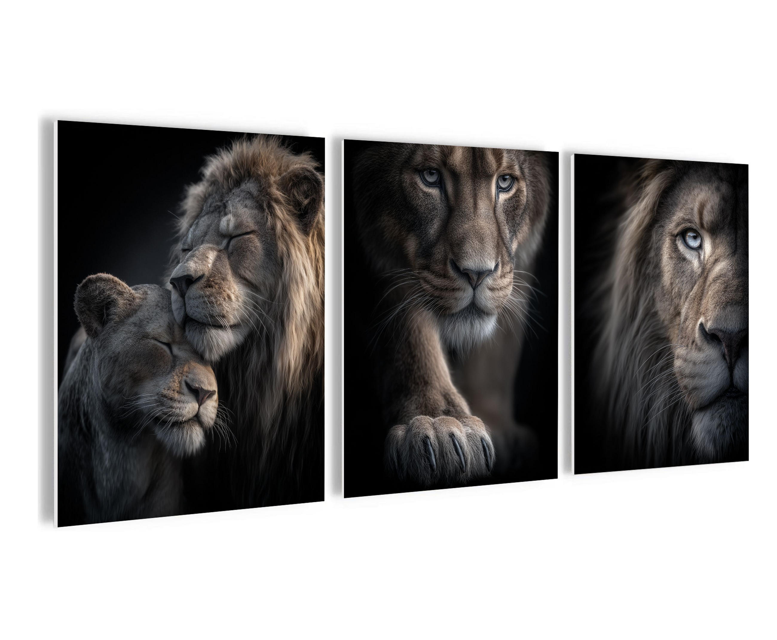BILDERSET 3er-Set 30x40 cm Löwen schwarz grau - Braun, Kunststoff (30/40cm) - artissimo
