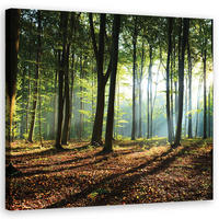 WANDBILD morgen im grünen wald - Grün, Textil (50/50cm) - Feeby