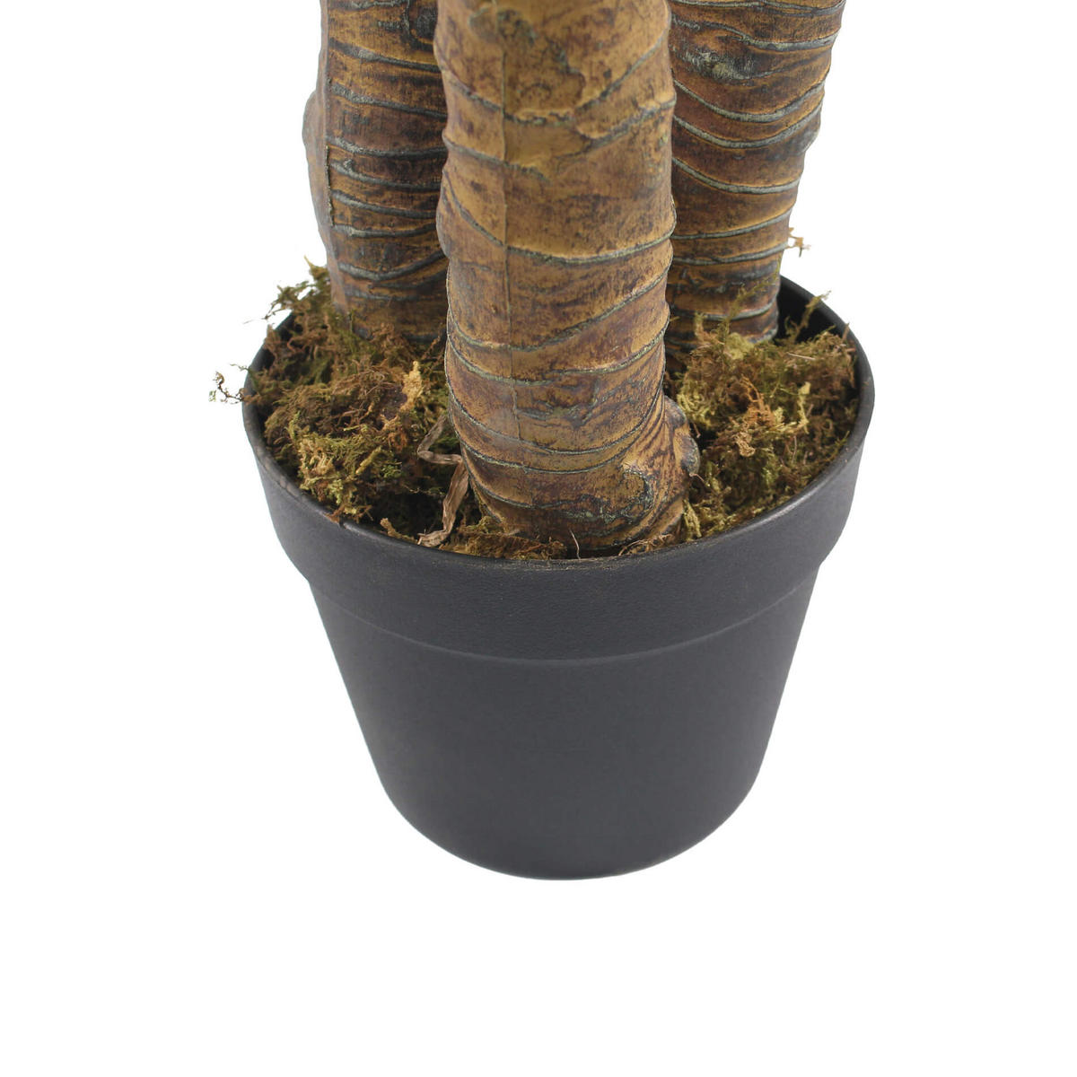 KÜNSTLICHE Yucca 80/80/155 cm - Grün, Kunststoff (150cm) - Mobili Rebecca