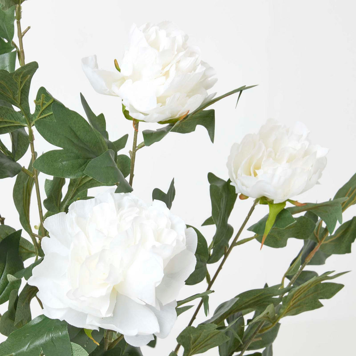 KUNSTPFLANZE Baumpfingstrose creme, 100 cm - Creme, Kunststoff (100cm) - Homescapes