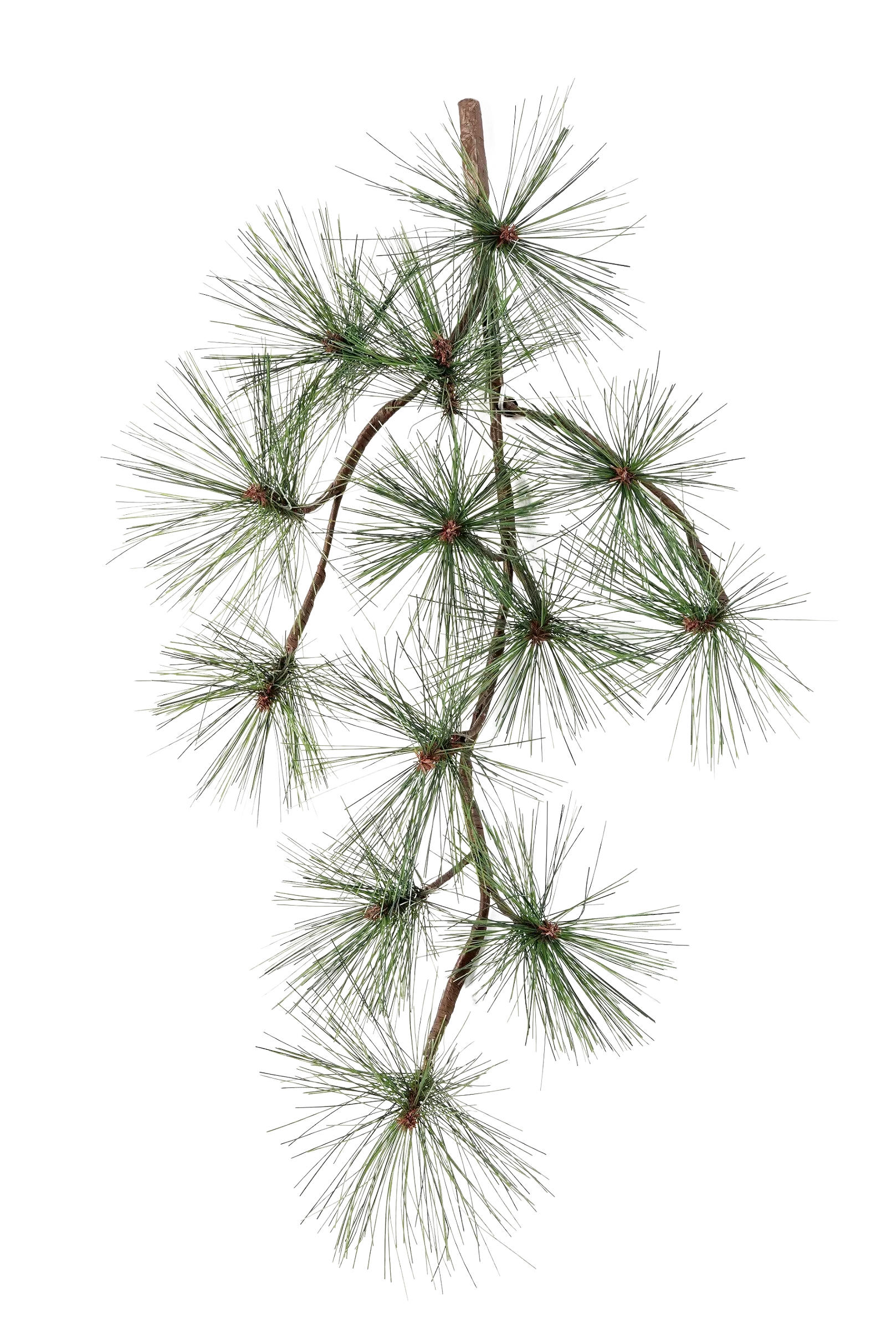 PINIE Künstlicher Pinien-Zweig - Fynn 67 cm - Grün, Kunststoff (67cm) - aplanta