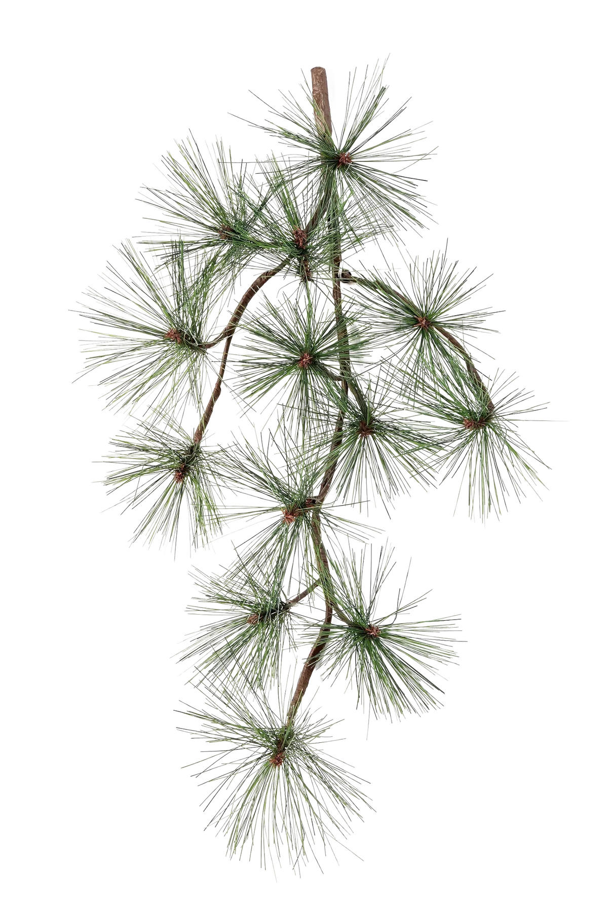 PINIE Künstlicher Pinien-Zweig - Fynn 67 cm - Grün, Kunststoff (67cm) - aplanta