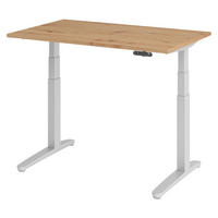 SCHREIBTISCH elektrisch XBHM 80/120/74 cm in Wildeiche/Silberfarben - Wildeiche/Silberfarben, Holzwerkstoff (80/120/74cm) - bümö