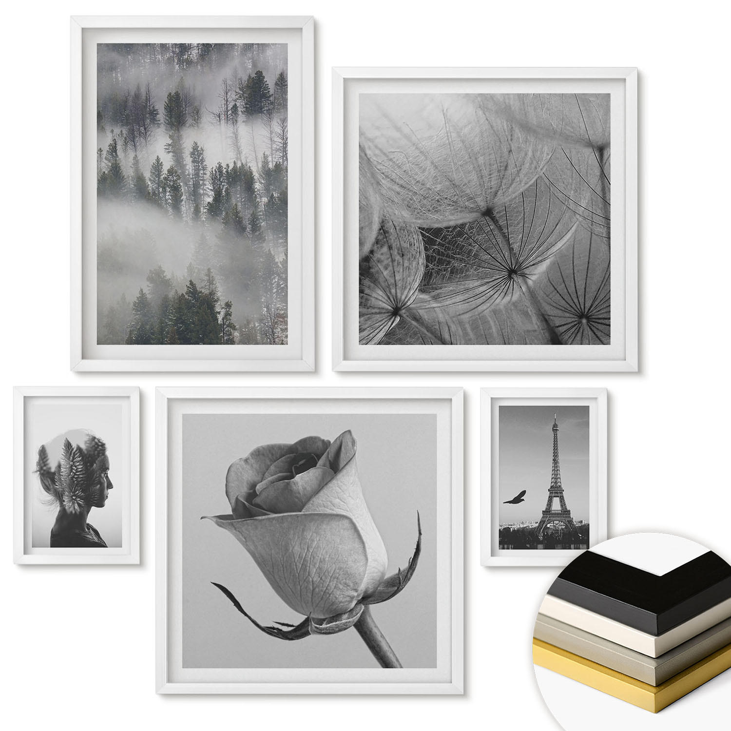 WANDBILDER 5er-Set - 50x50 cm & 20x30 cm & 40x60 cm Weißer Rahmen - Zitrusbäume in einem sonnigen Garten - Weiß, Kunststoff (40/60cm) - ArtPrintCave