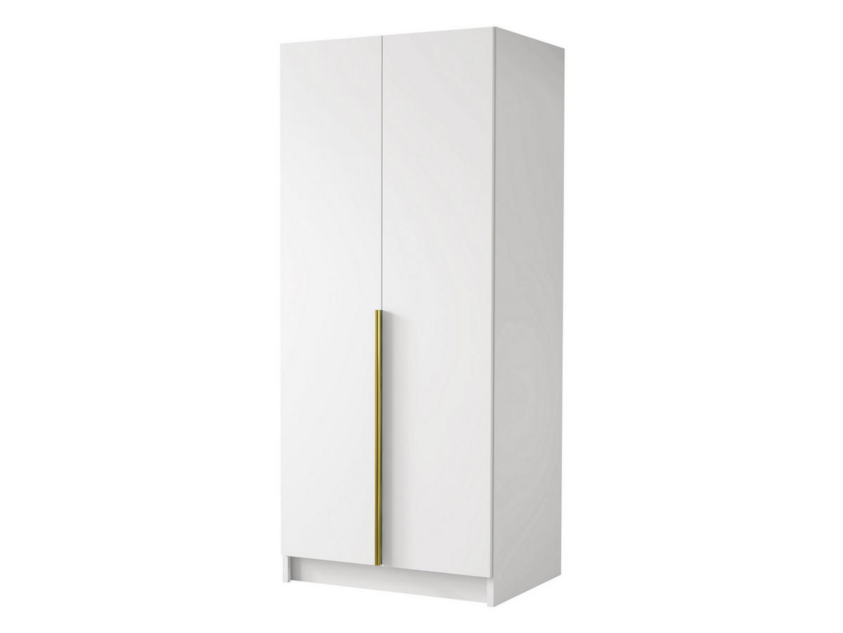 KLEIDERSCHRANK Bono I - Goldfarben/Multicolor, Holzwerkstoff/Metall (100/215/58cm) - MIRJAN24