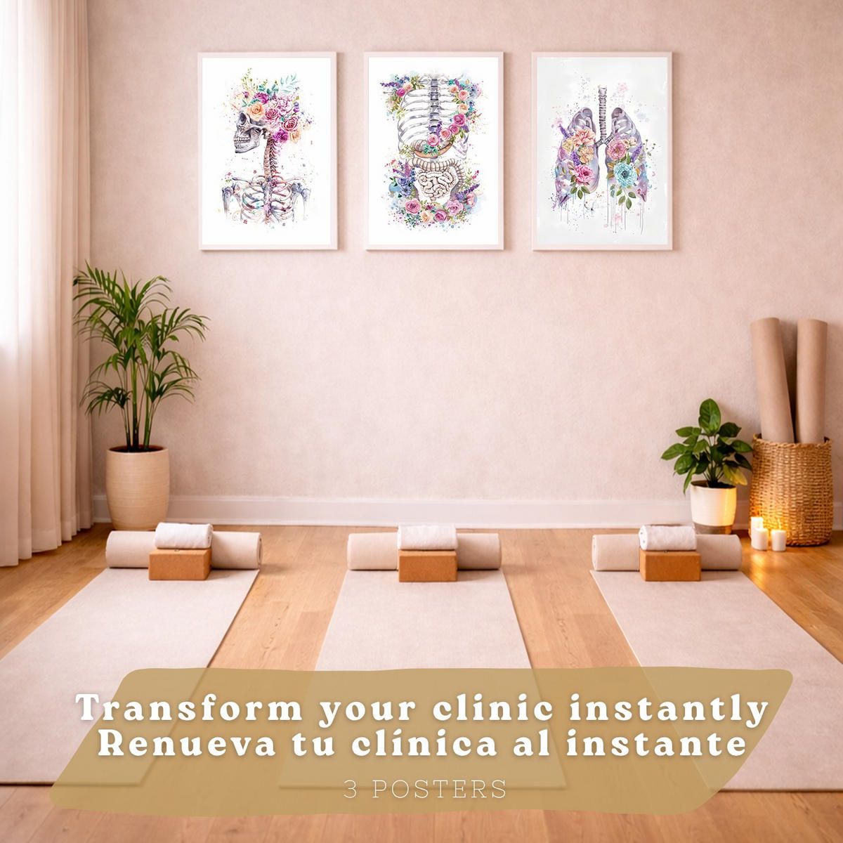 POSTER Set aus 3 Anatomie Drucke mit Skelett Schädel Wirbelsäule Rippen Lungen und Verdauungssystem Künstlerischer Größe Weißer Rahmen A4 - Weiß, Papier (21/29.7/3cm) - Nacnic