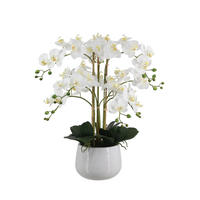 KÜNSTLICHE Orchidee - Dan 65 cm - Weiß, Kunststoff (66cm) - aplanta
