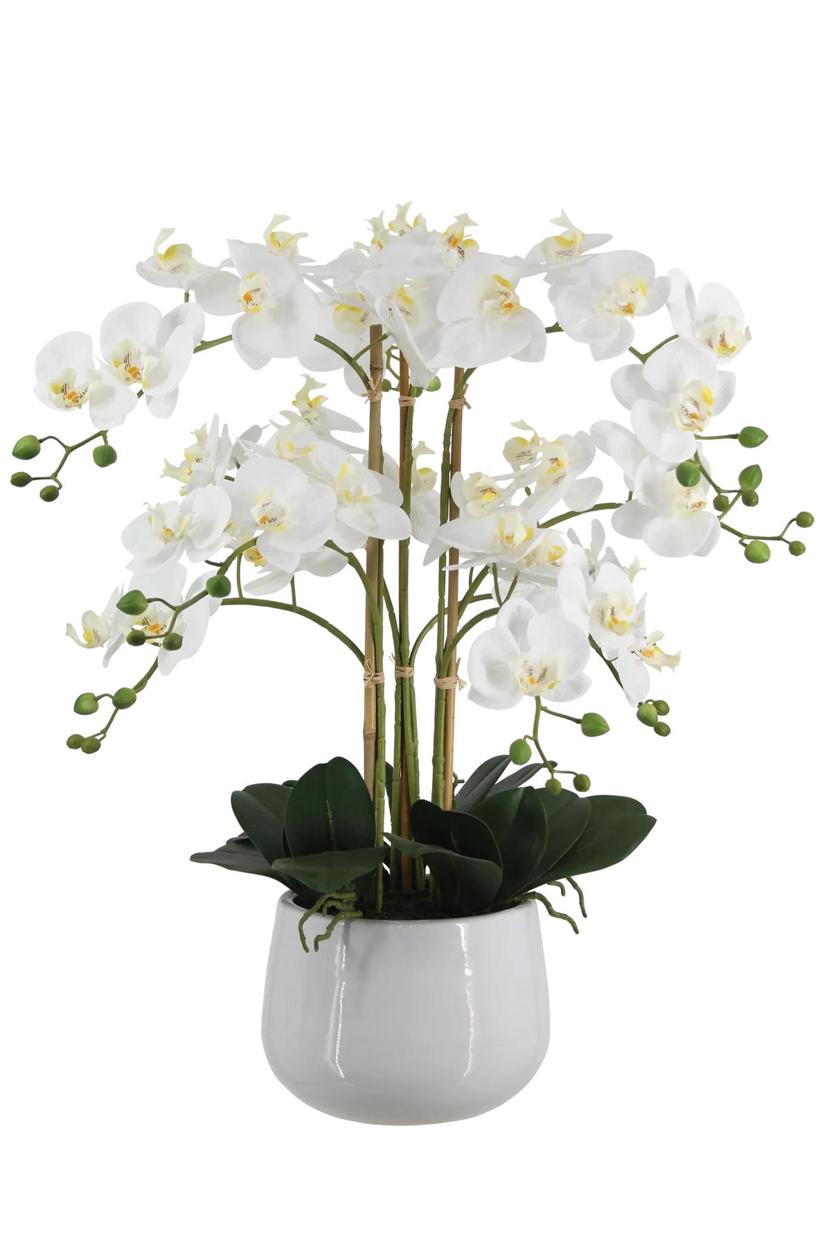 KÜNSTLICHE Orchidee - Dan 65 cm - Weiß, Kunststoff (66cm) - aplanta